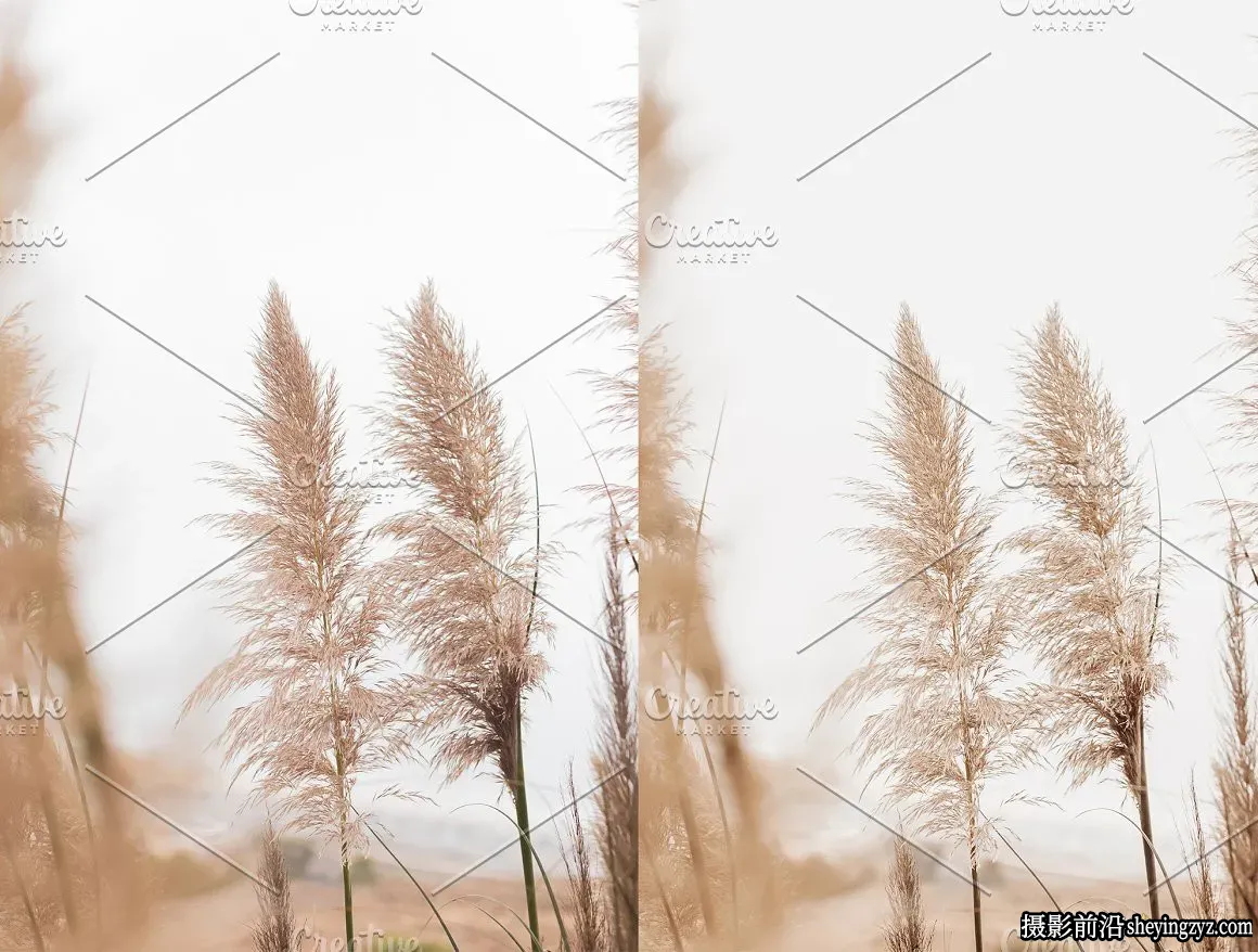 简约居家裸色人像调色Lightroom预设 Lightroom Minimalistic Nude