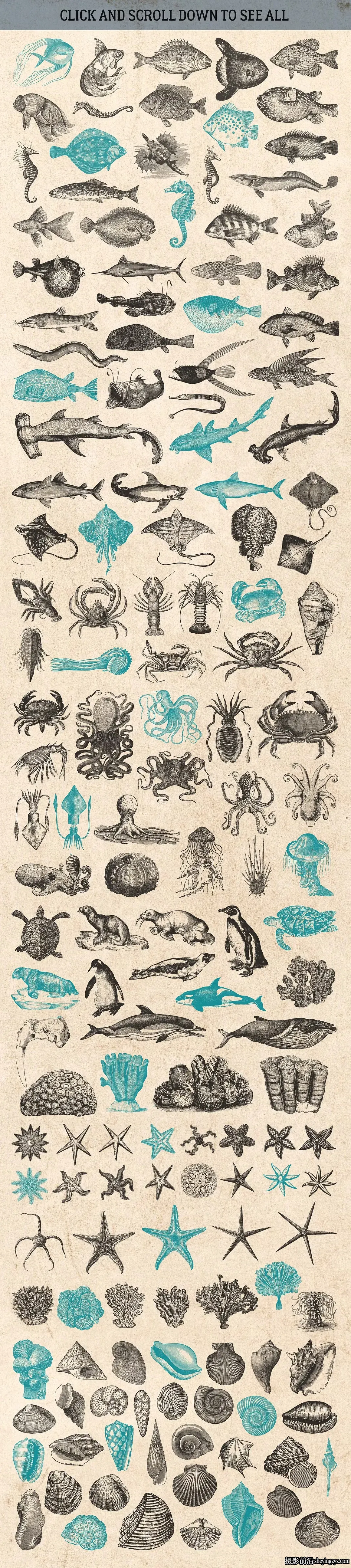 2100+复古矢量插画图形矢量元素标志品牌设计大合集EPS+PNG