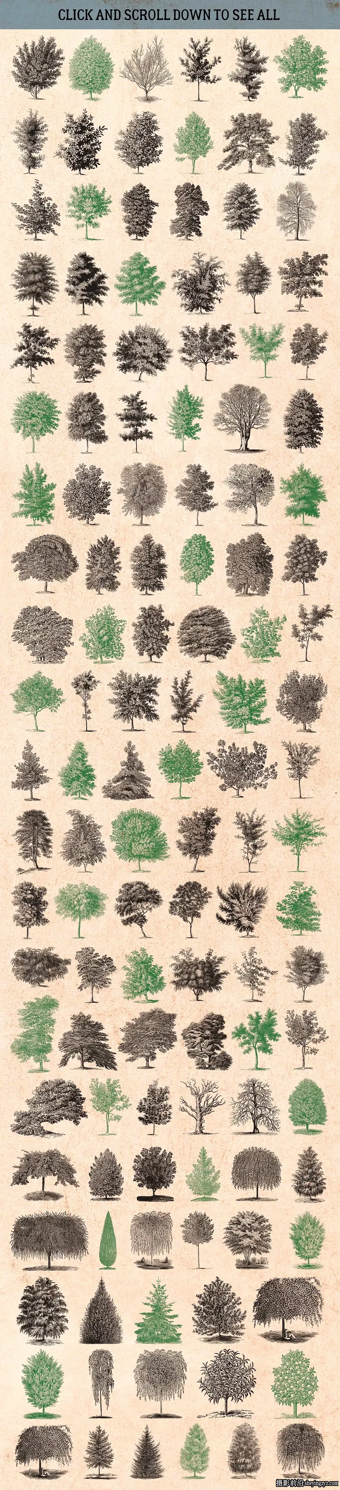 2100+复古矢量插画图形矢量元素标志品牌设计大合集EPS+PNG