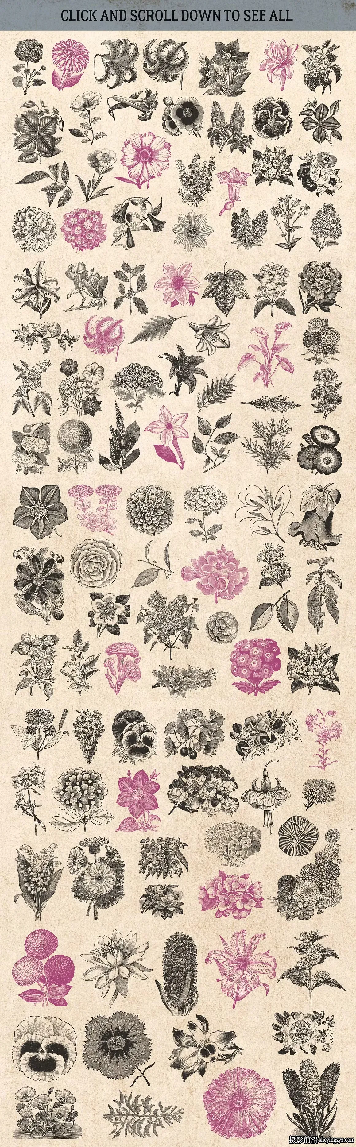 2100+复古矢量插画图形矢量元素标志品牌设计大合集EPS+PNG