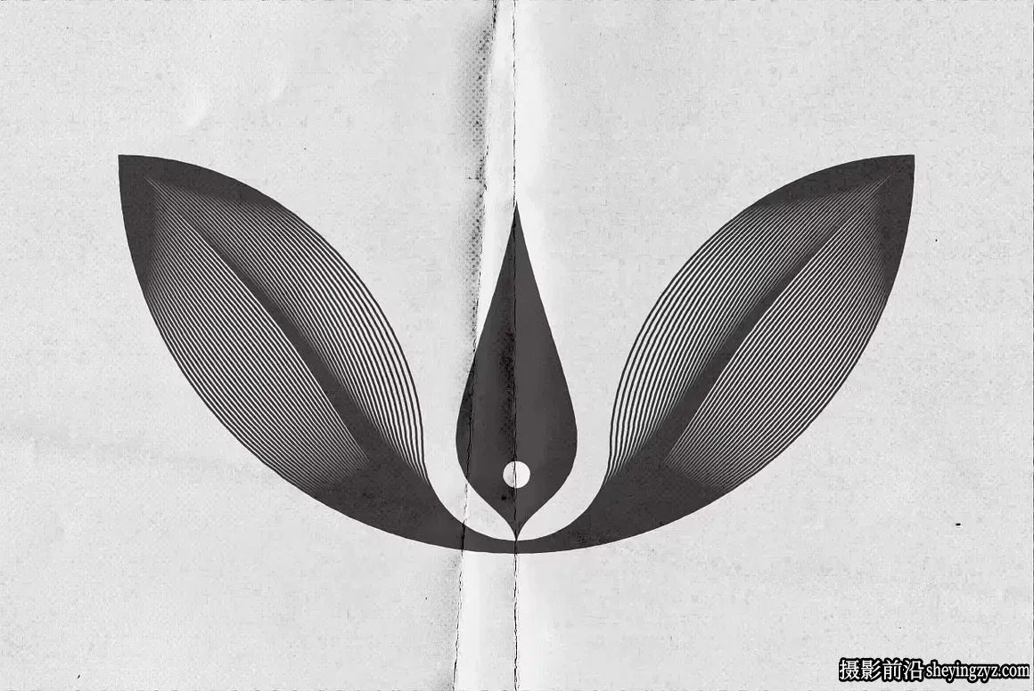 抽象波西米亚线性矢量形状素材合集 105xEPS