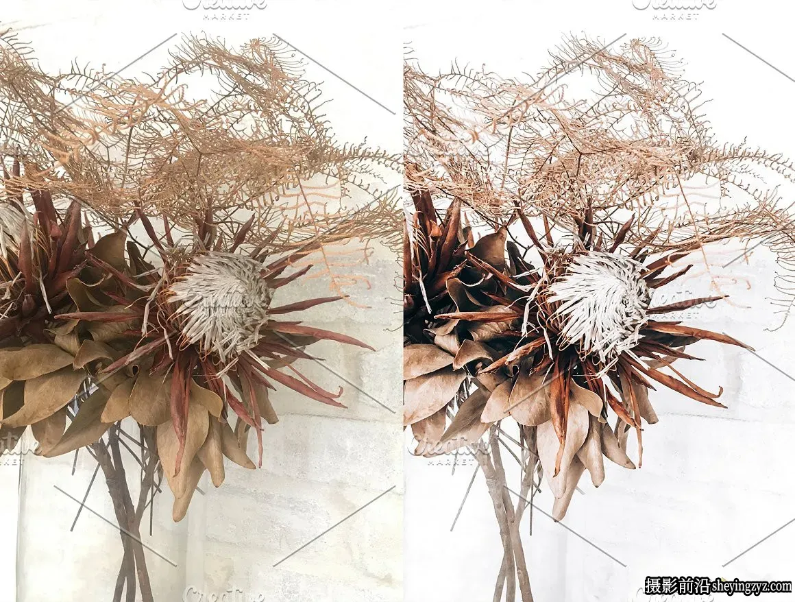 极简主义电影胶片人像LR预设 Lightroom Preset Minimalist