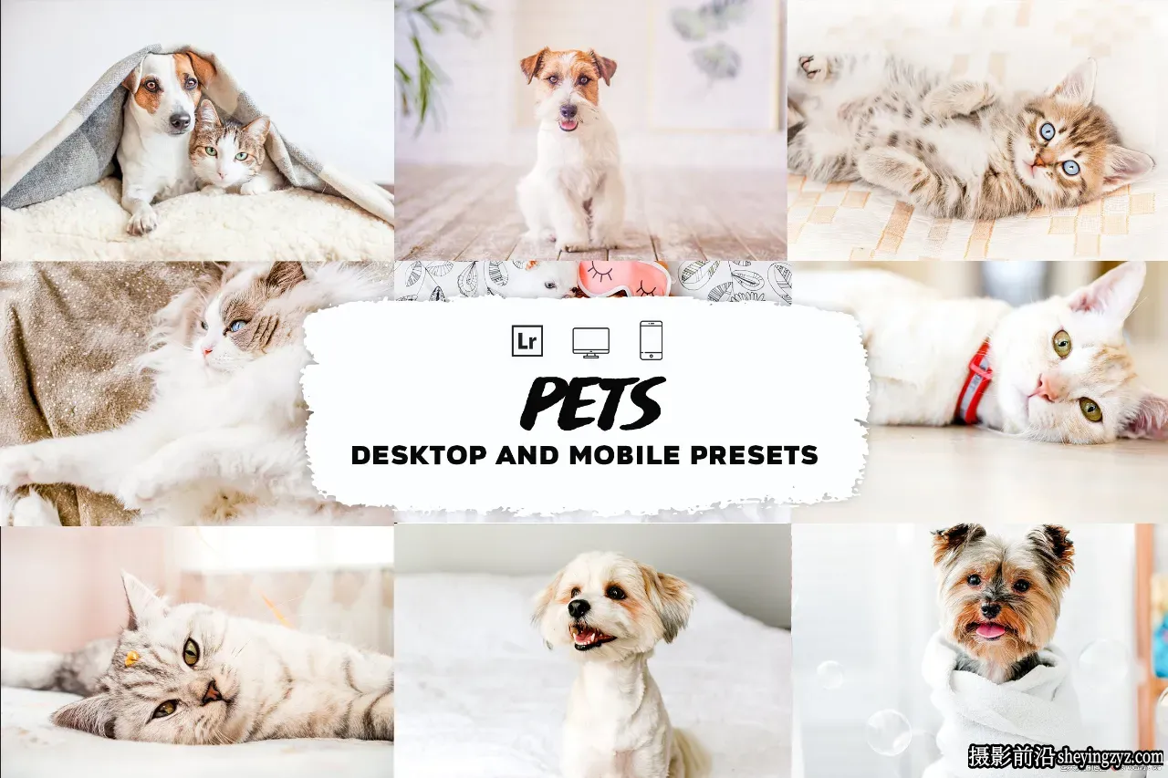 明亮宠物摄影后期调色Lightroom预设 Pets Lightroom Presets