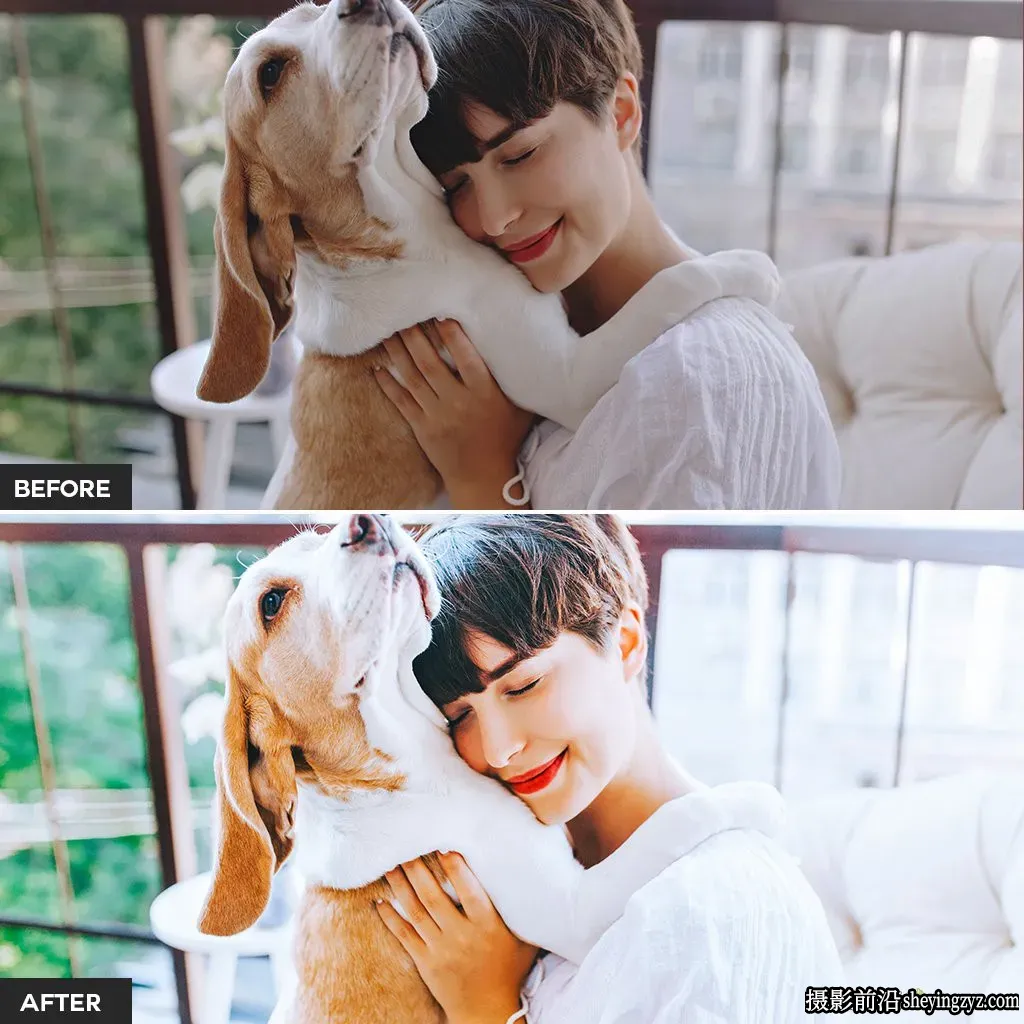 明亮宠物摄影后期调色Lightroom预设 Pets Lightroom Presets