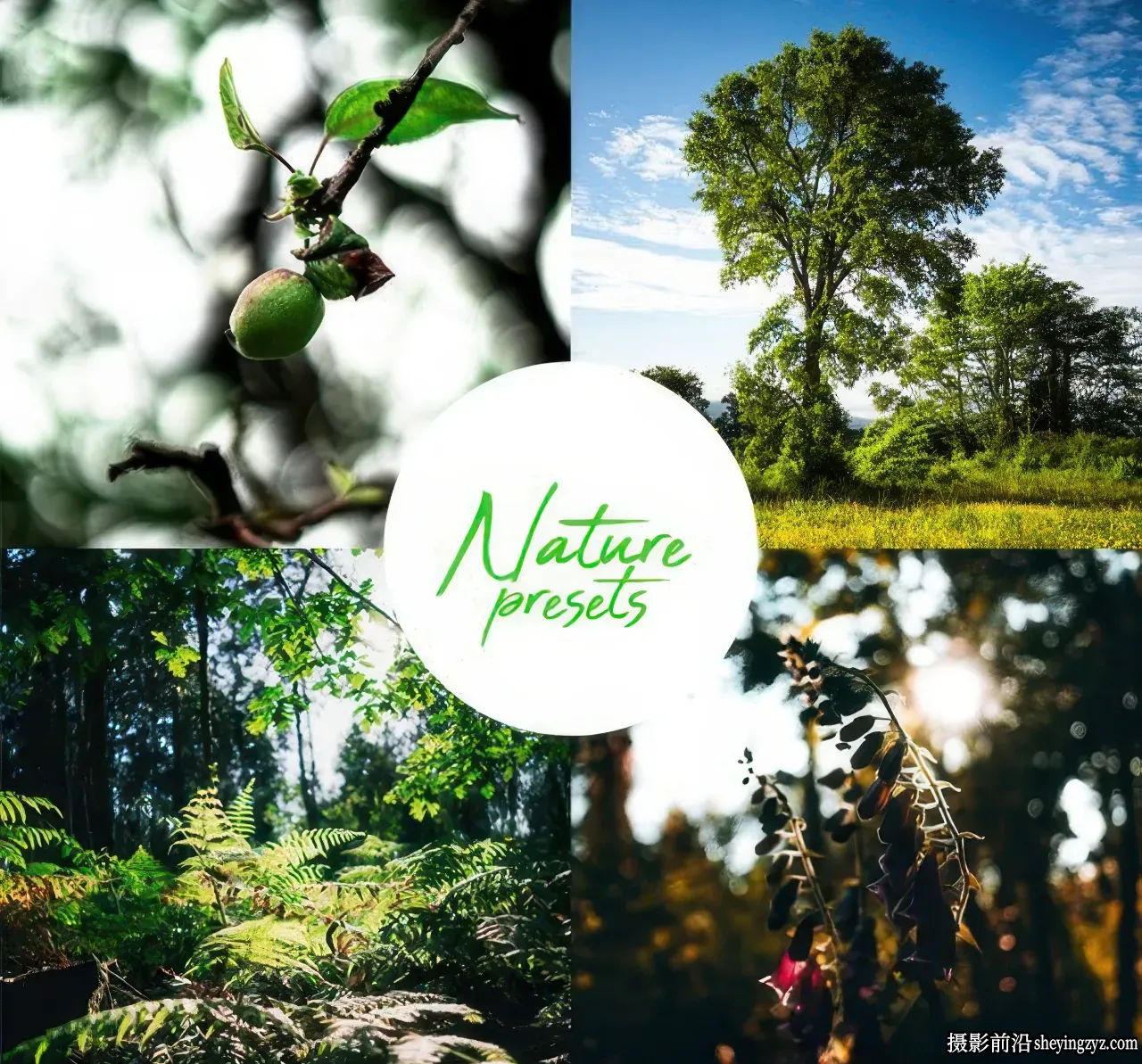 自然风光摄影后期调色 Lightroom预设Nature Lightroom Preset