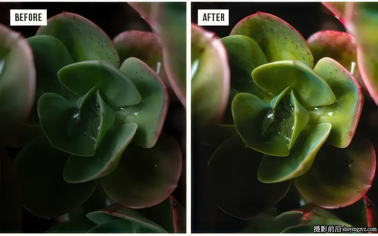 自然风光摄影后期调色 Lightroom预设Nature Lightroom Preset