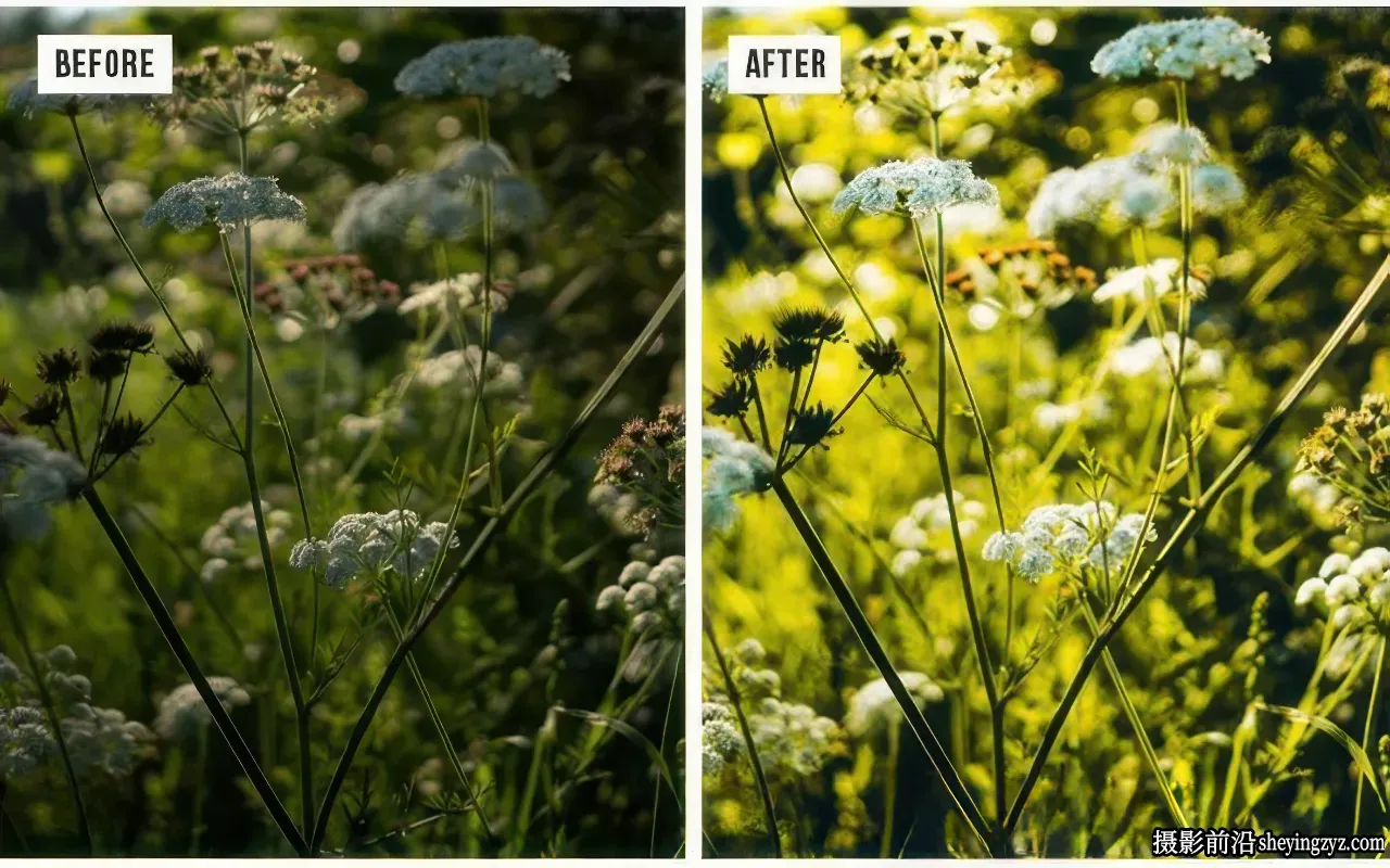 自然风光摄影后期调色 Lightroom预设Nature Lightroom Preset