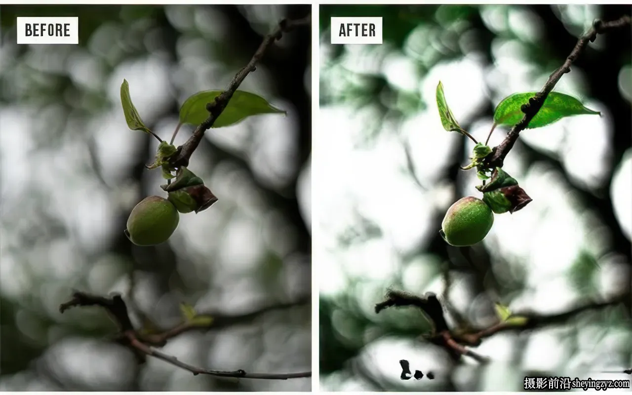 自然风光摄影后期调色 Lightroom预设Nature Lightroom Preset