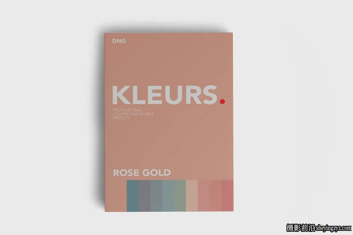 玫瑰金粉复古电影胶片人像LR预设 ROSE GOLD LIGHTROOM PRESET