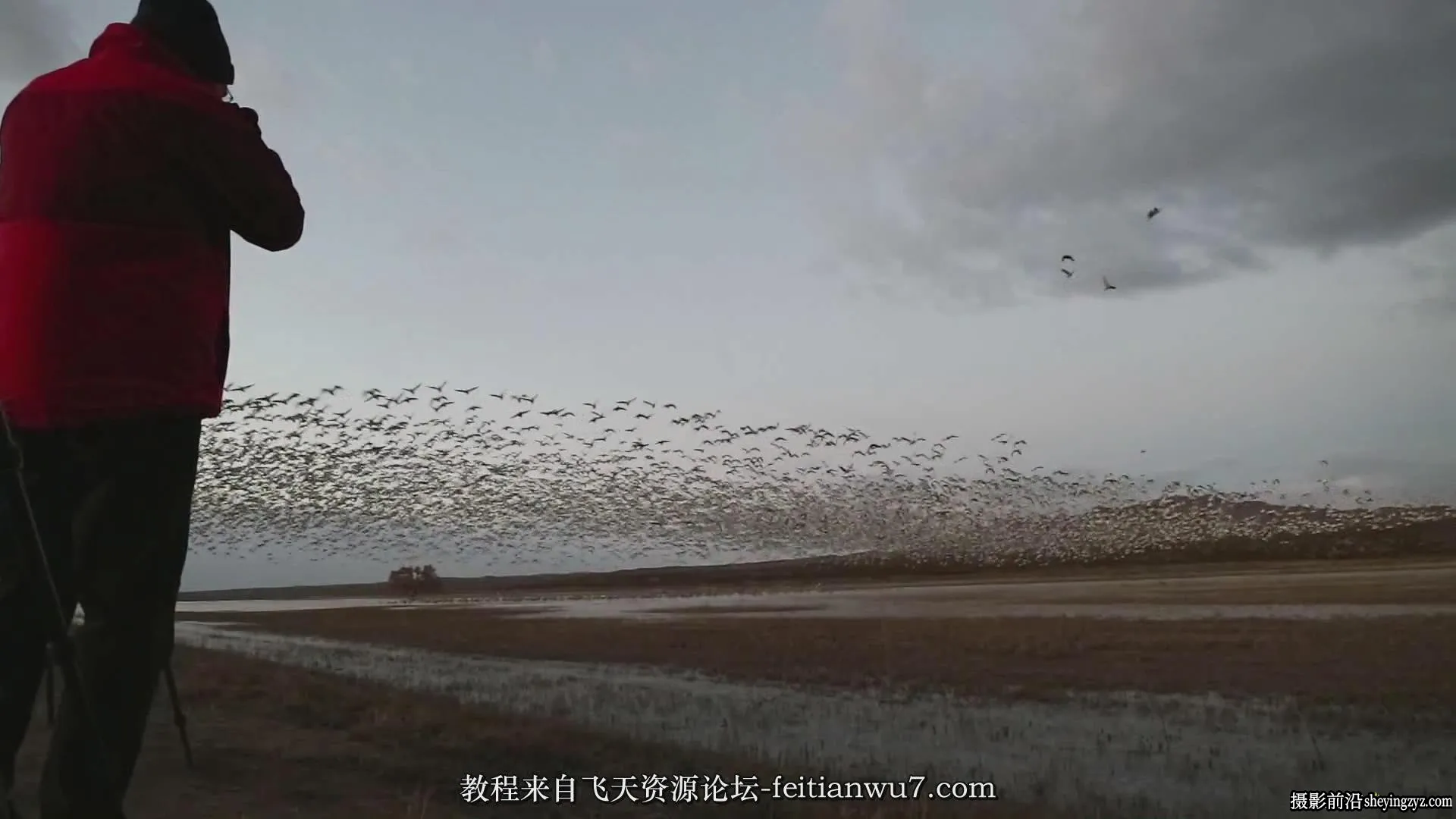 摄影师Rick Sammon拍摄叹为观止的鸟类摄影构图指南教程-中文字幕