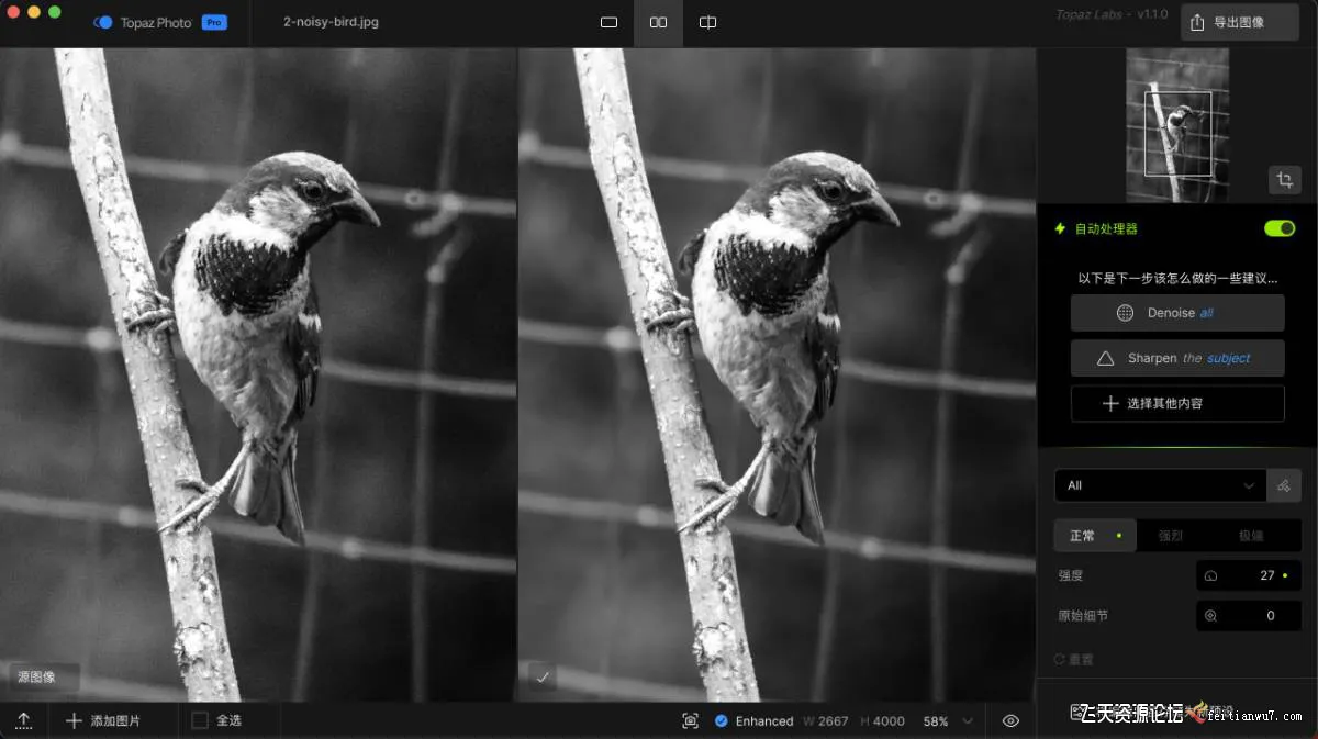 Topaz Photo Pro for mac v1.6.0 汉化版|AI移除放大降噪插件