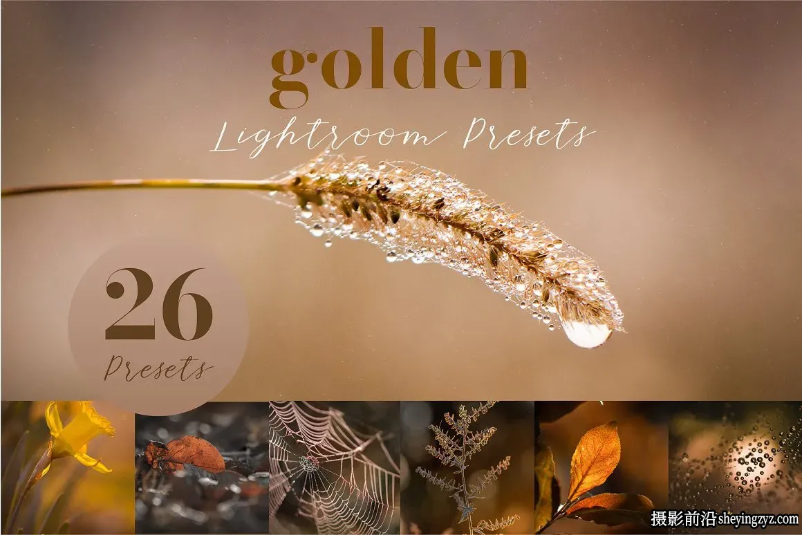 金色唯美微距摄影后期调色Lightroom预设Golden Lightroom Presets