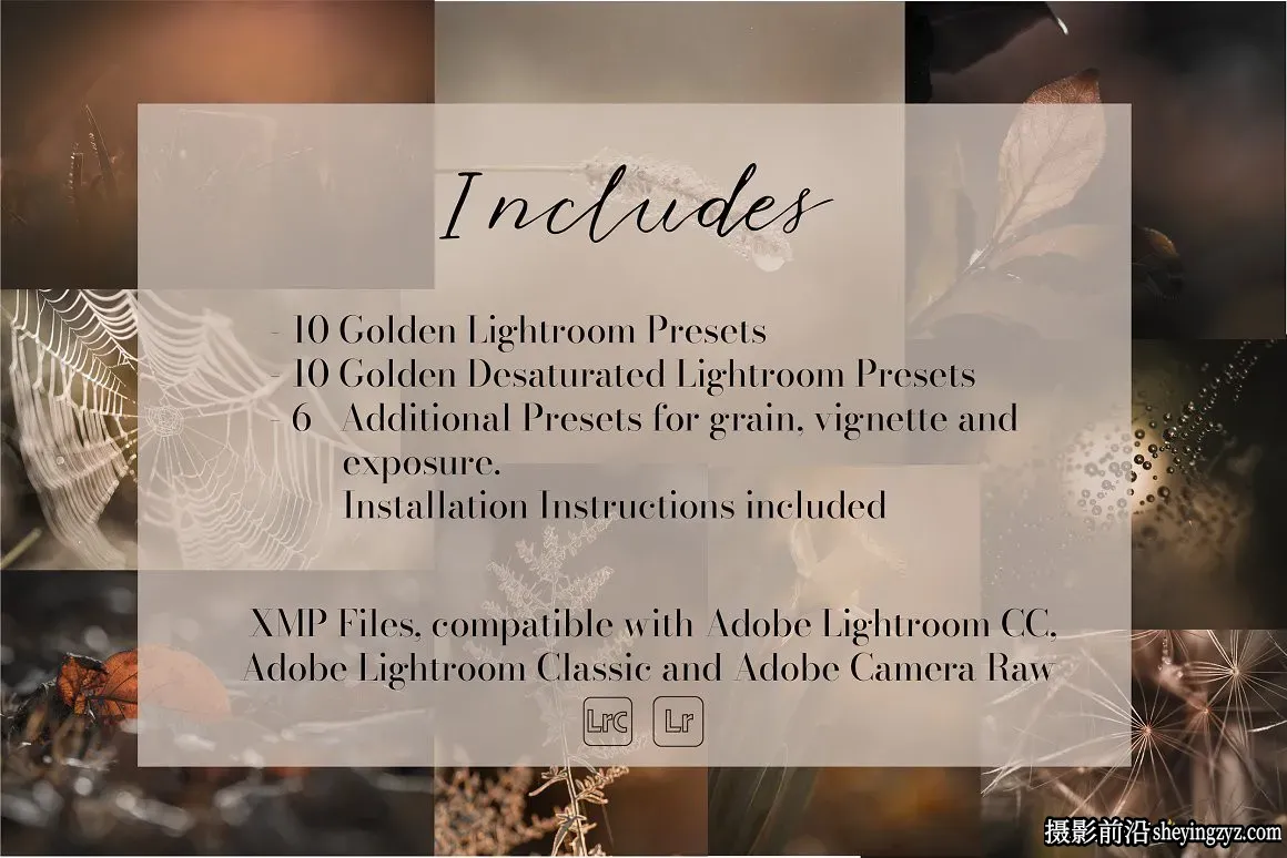 金色唯美微距摄影后期调色Lightroom预设Golden Lightroom Presets