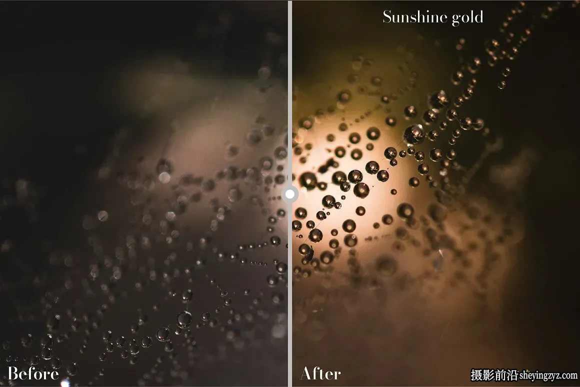 金色唯美微距摄影后期调色Lightroom预设Golden Lightroom Presets