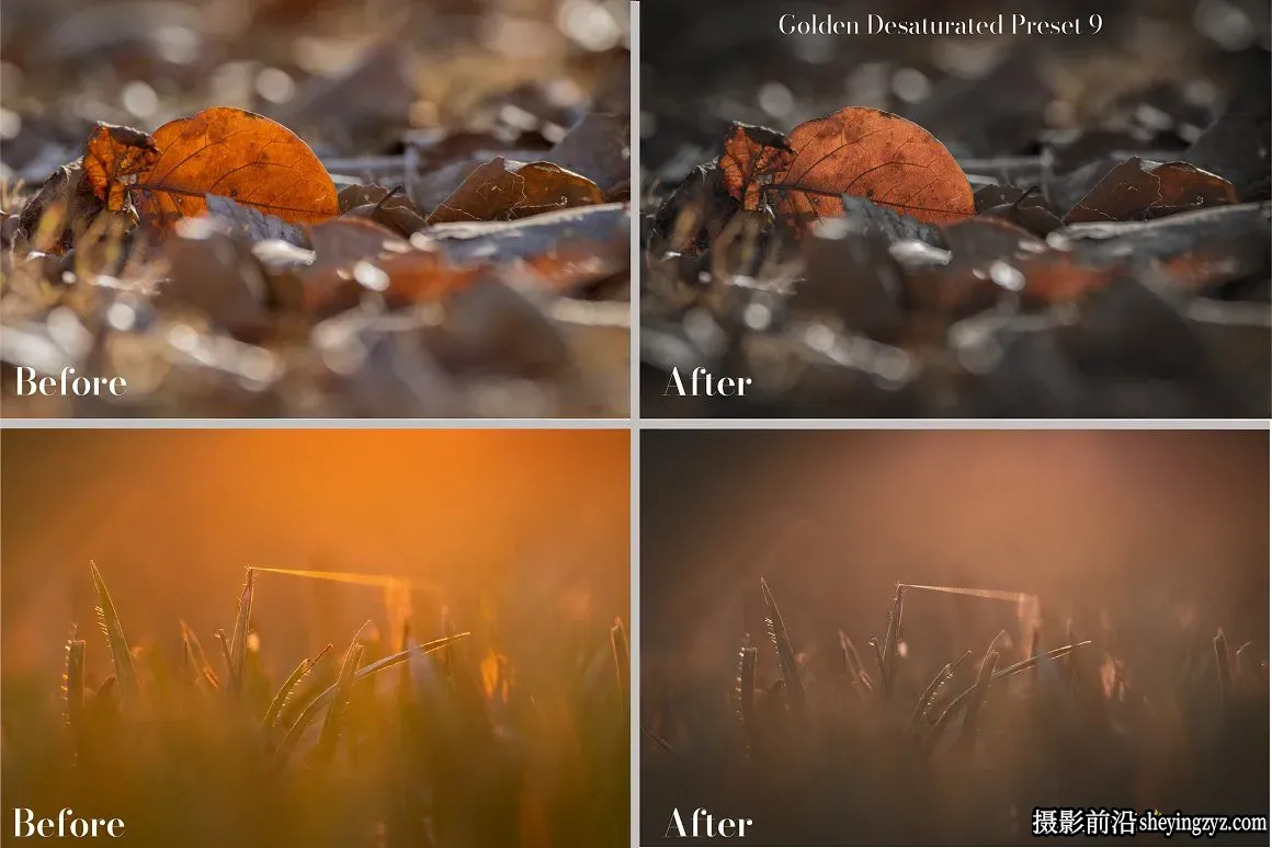 金色唯美微距摄影后期调色Lightroom预设Golden Lightroom Presets