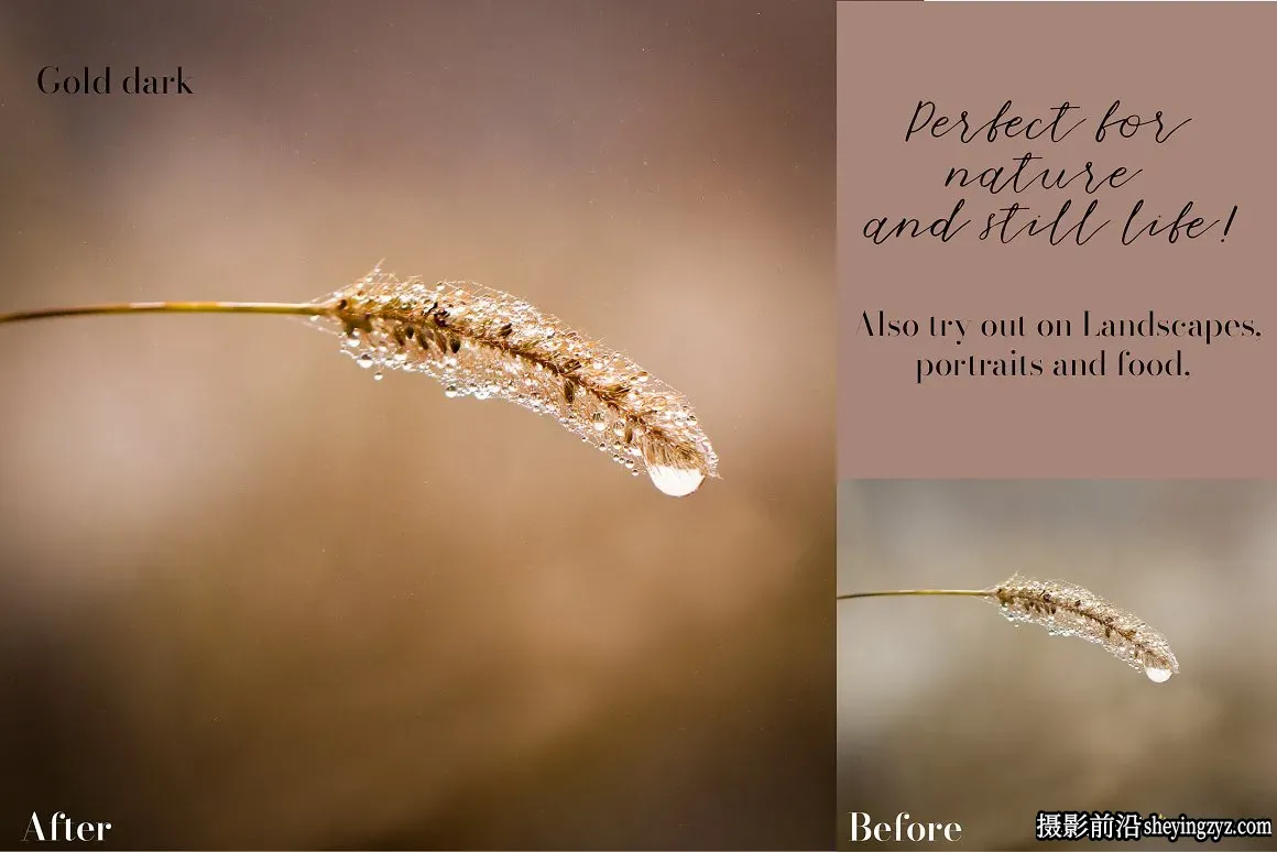 金色唯美微距摄影后期调色Lightroom预设Golden Lightroom Presets