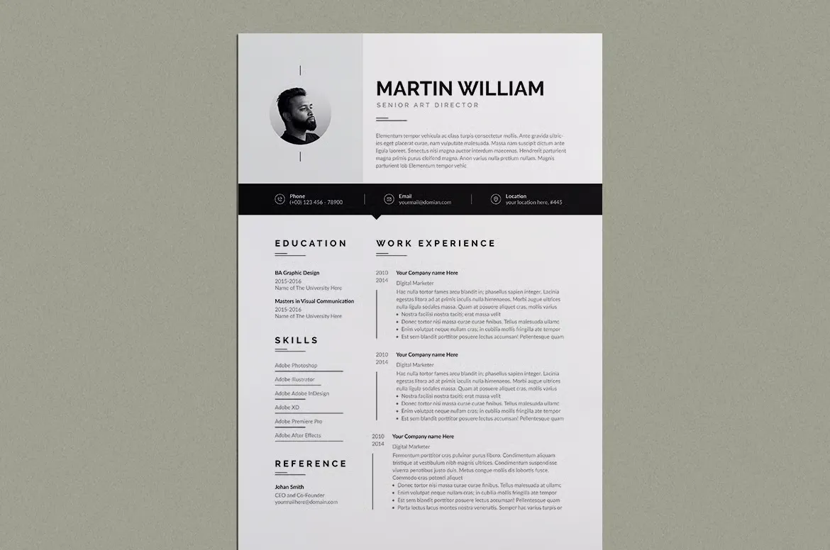 简历模板-支持 InDesign、Canva、Word