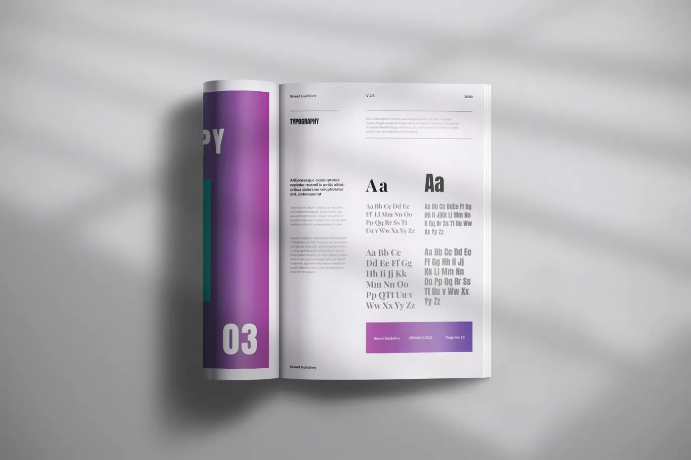 公司企业品牌指南宣传手册InDesign模板