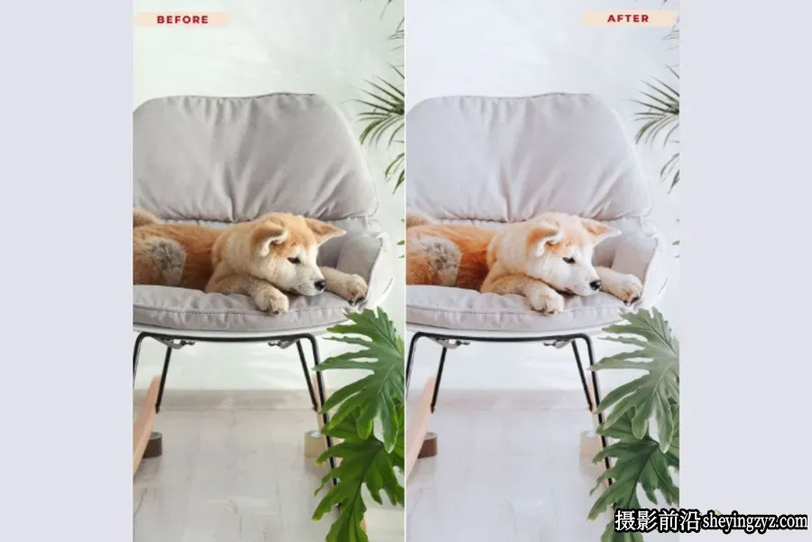 通透明亮人像奶油色调Lightroom预设 INDOOR Lightroom Presets