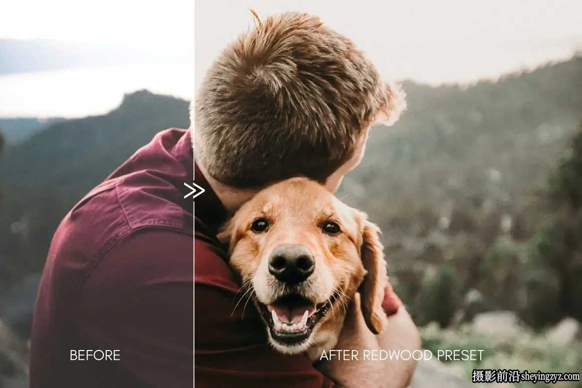 宠物摄影后期调色LR预设Moody Pet Photography Kit Presets