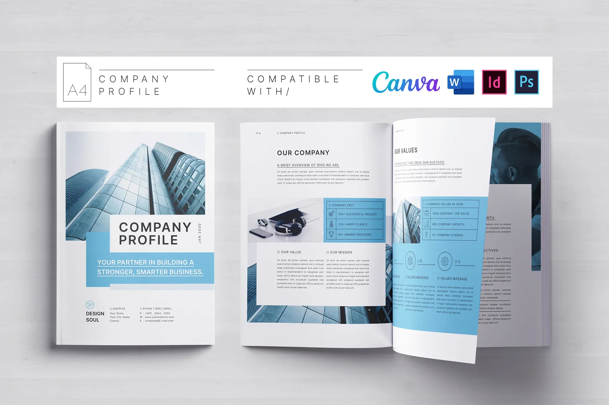 公司资料模板 |Canva |医生 |ID|PSD InDesign模板