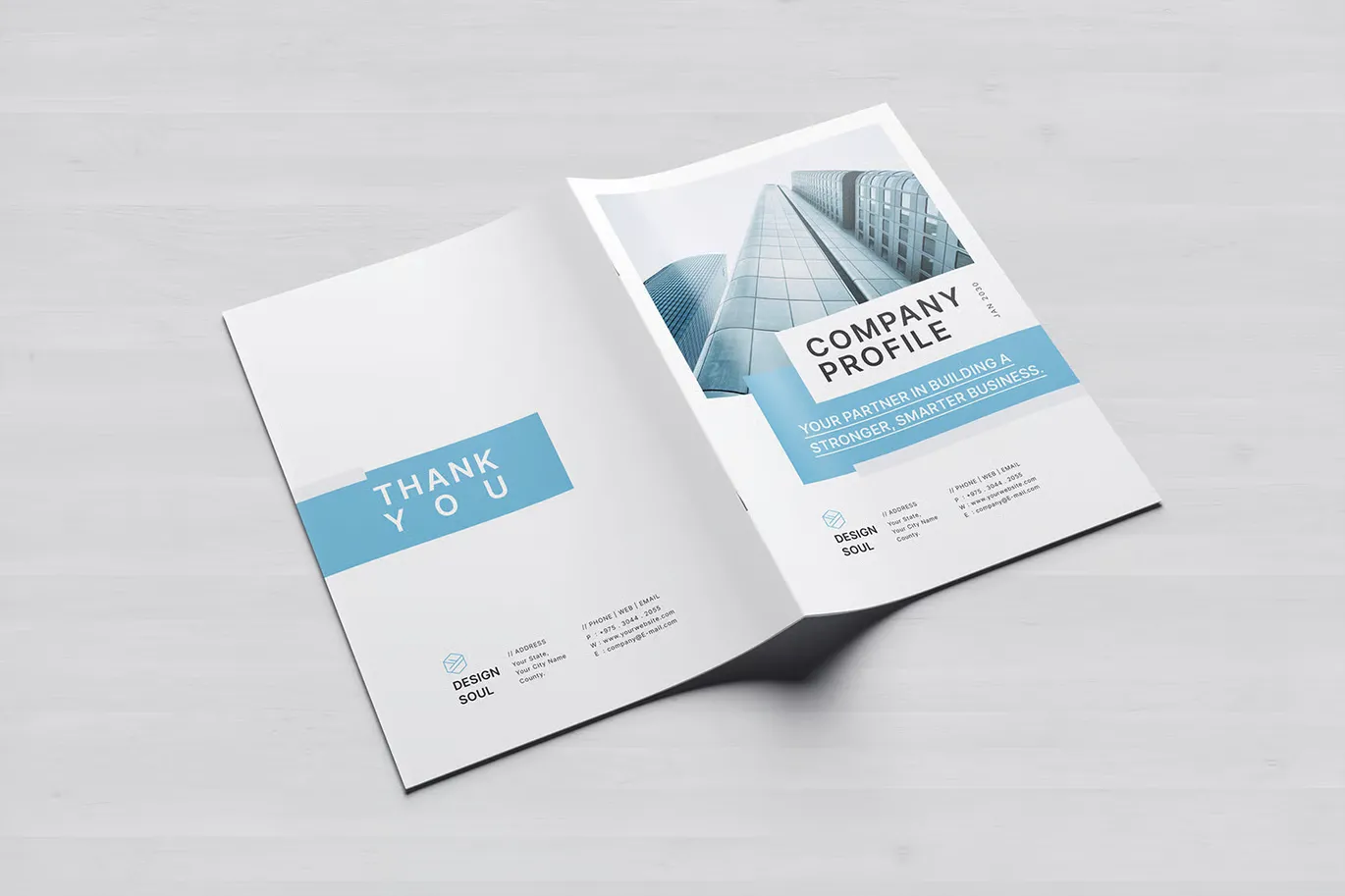 公司资料模板 |Canva |医生 |ID|PSD InDesign模板