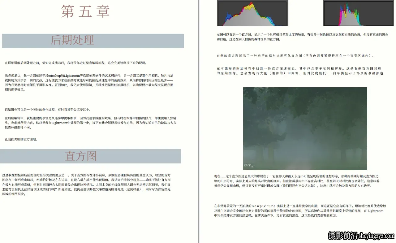 Ellen Borggreve – 森林摄影的魔力电子书-独家精翻PDF中文教程