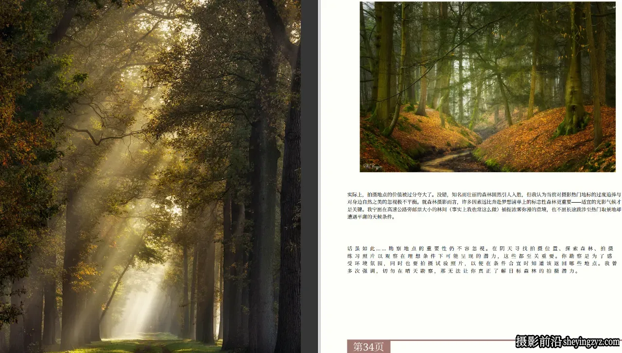 Ellen Borggreve – 森林摄影的魔力电子书-独家精翻PDF中文教程