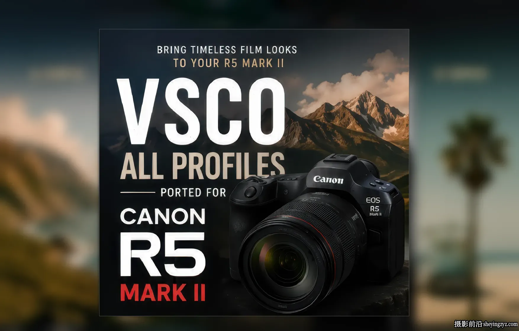 佳能R5 Mark II的VSCO配置文件 VSCO Profiles for Canon R5 Mark II
