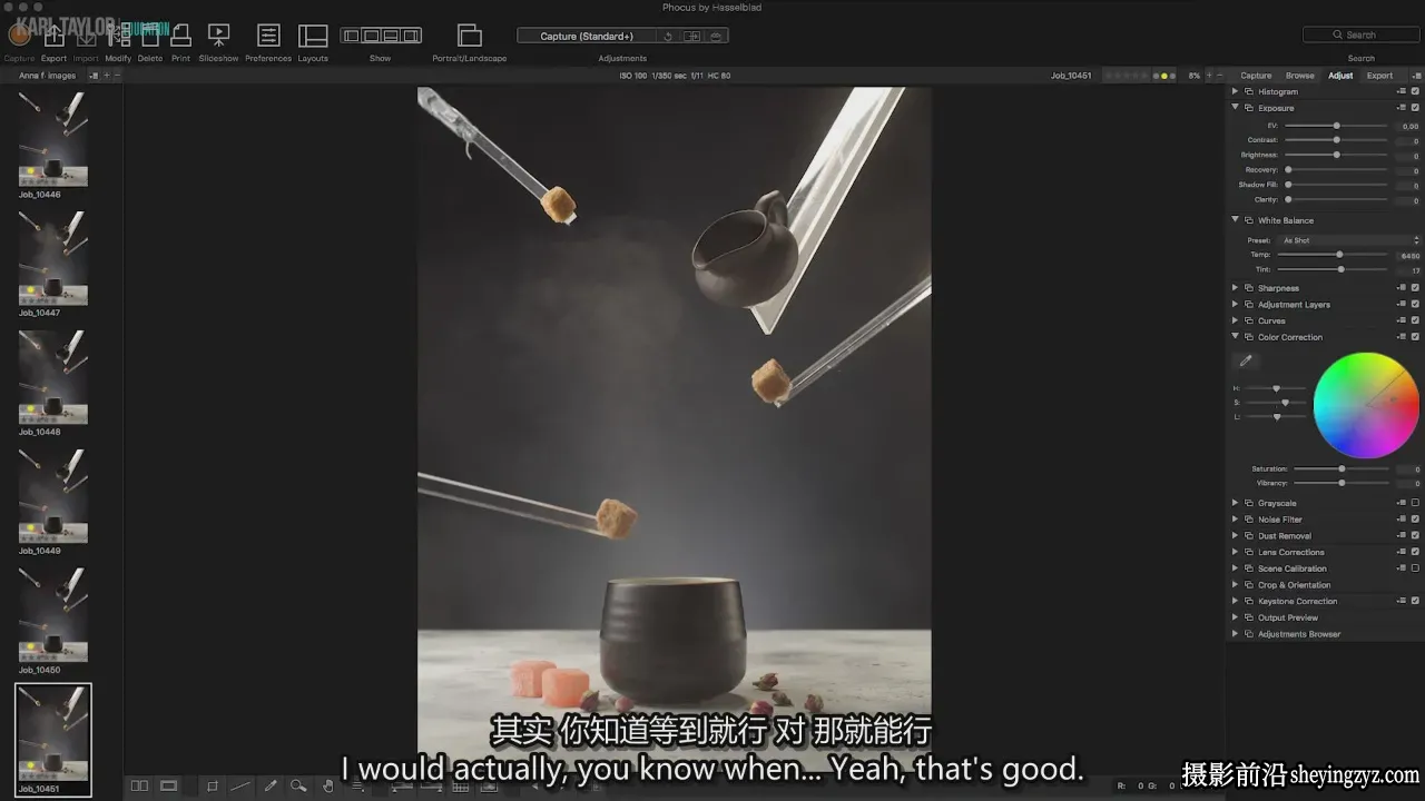Karl Taylor 飞茶美食摄影造型与后期合成教程-独家精翻中英字幕