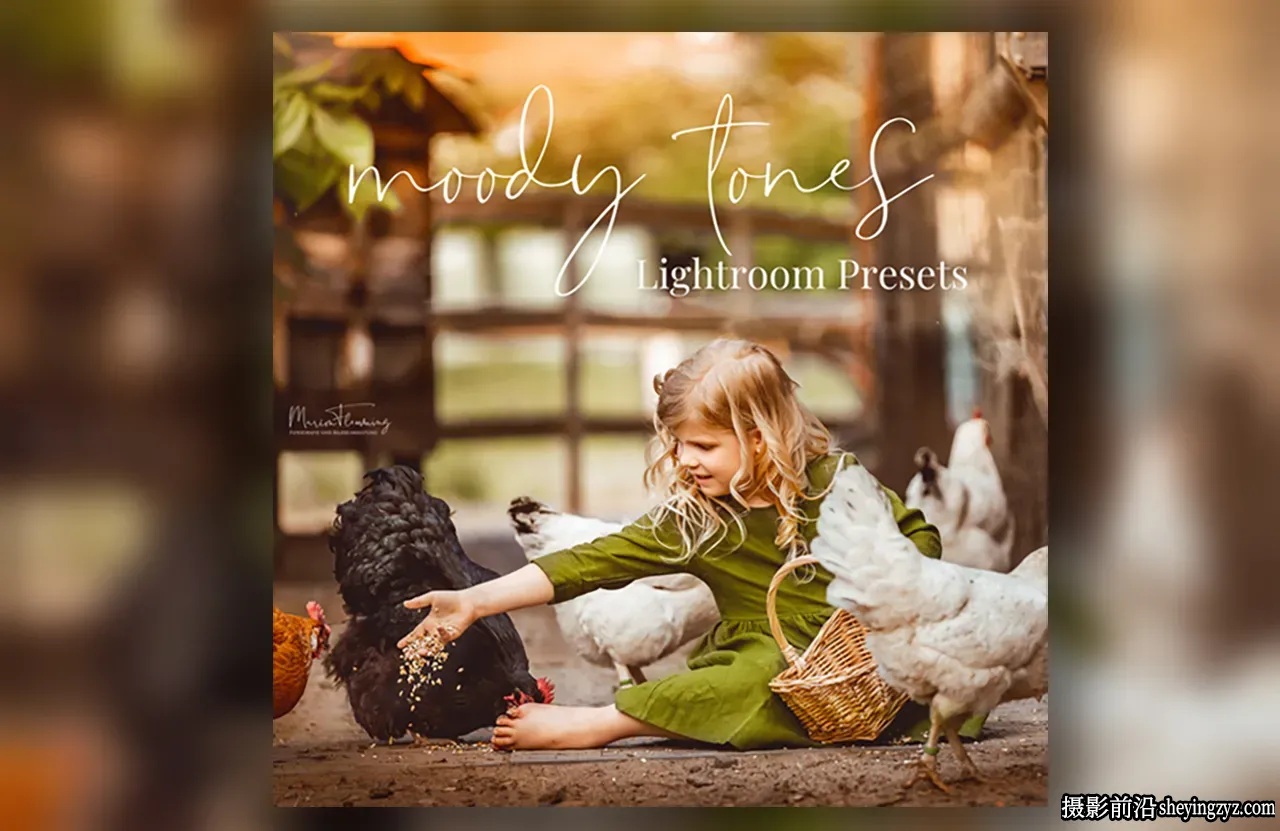 唯美情绪色彩LR预设Marion Flemming -  Moody Tones Presets