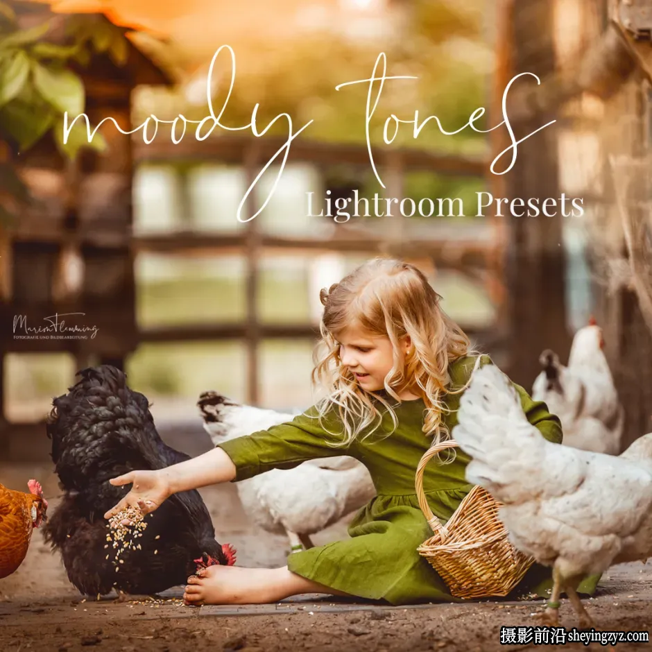 唯美情绪色彩LR预设Marion Flemming -  Moody Tones Presets