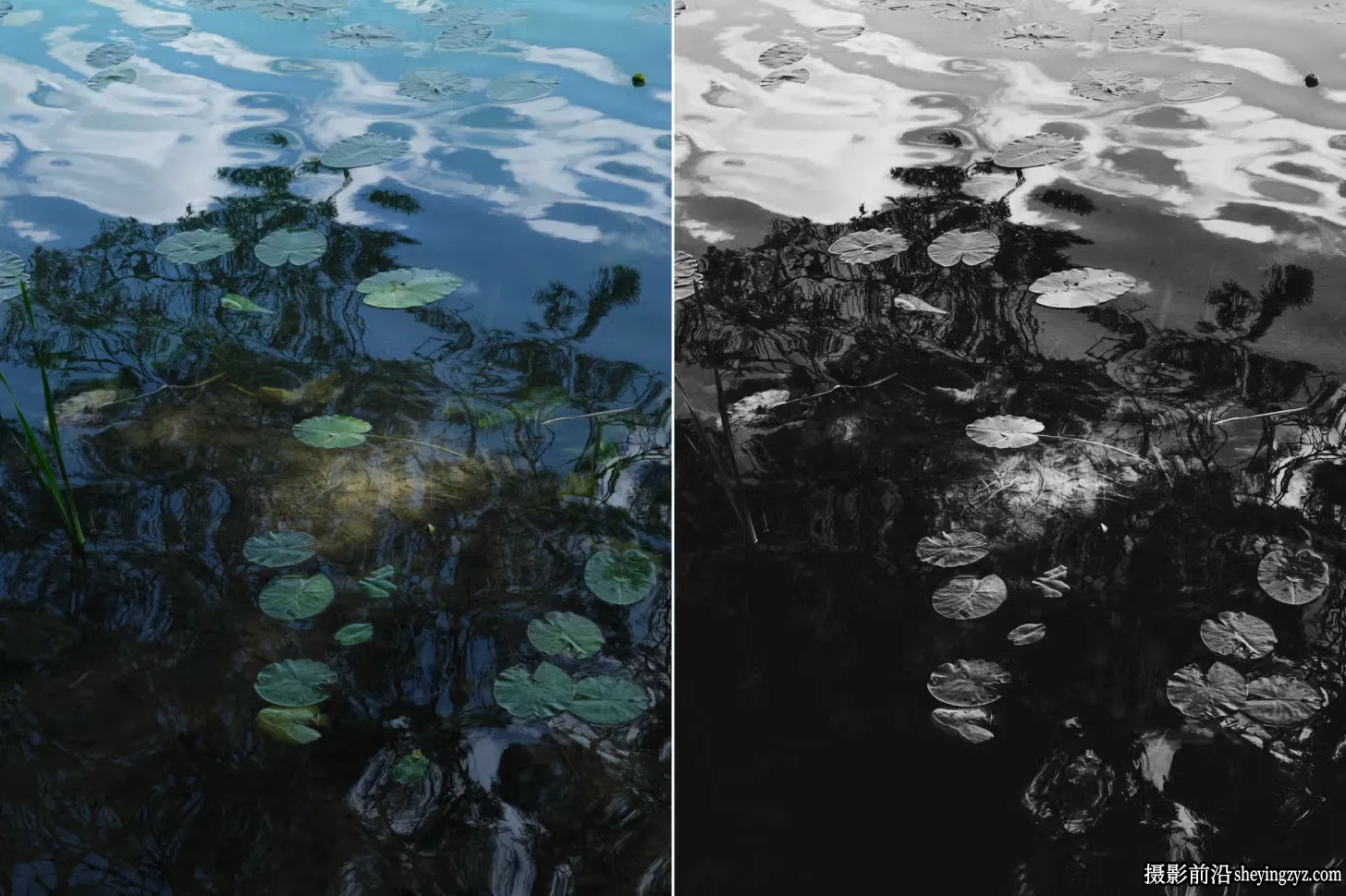 CaptureOne - 超越黑白系列 Capture One预设 Beyond B&amp;W Styles