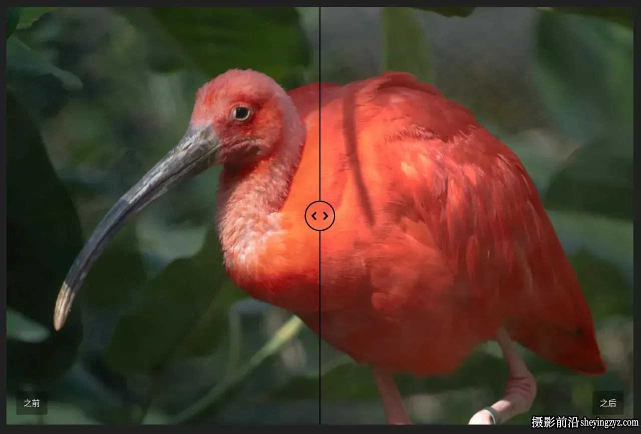 Cobalt Image - Capture One 基础预设包-佳能 R6 Mk2相机校准预设