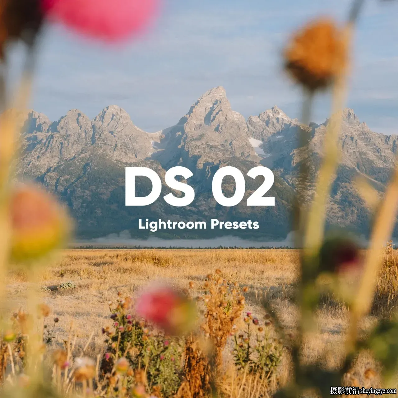 摄影师Dylan Spitz LR预设02- DS Presets 02 Lightroom Presets