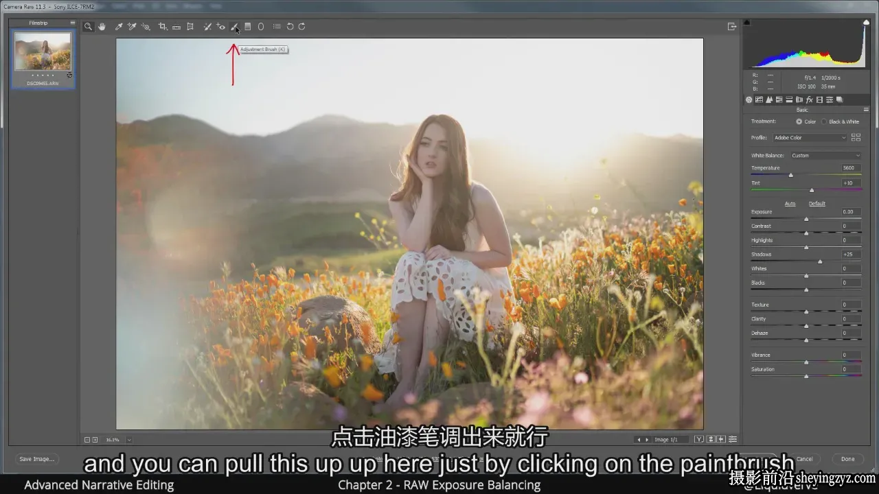 Liquidverve 情绪人像后期编辑调色PS教程 2.0-独家精翻中英字幕