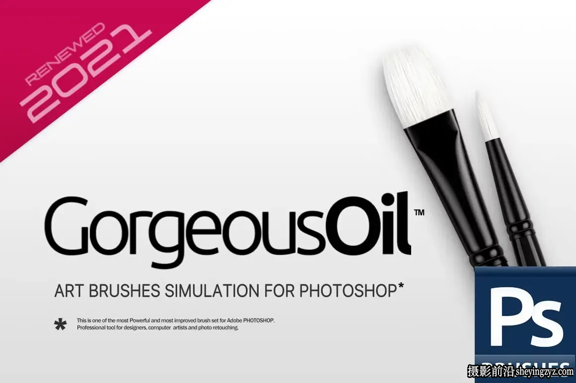 专业逼真的100+艺术油画画笔 RM Gorgeous Oil