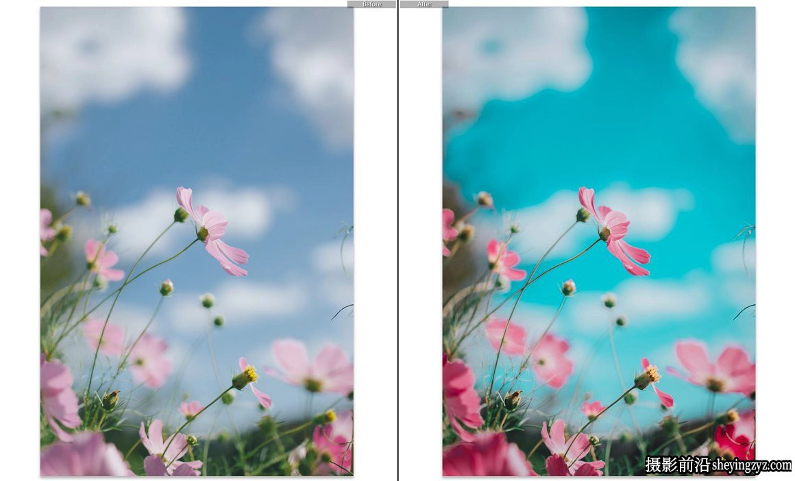 时尚旅拍人像火烈鸟色调免费LR调色预设 Flamingo Lightroom Presets