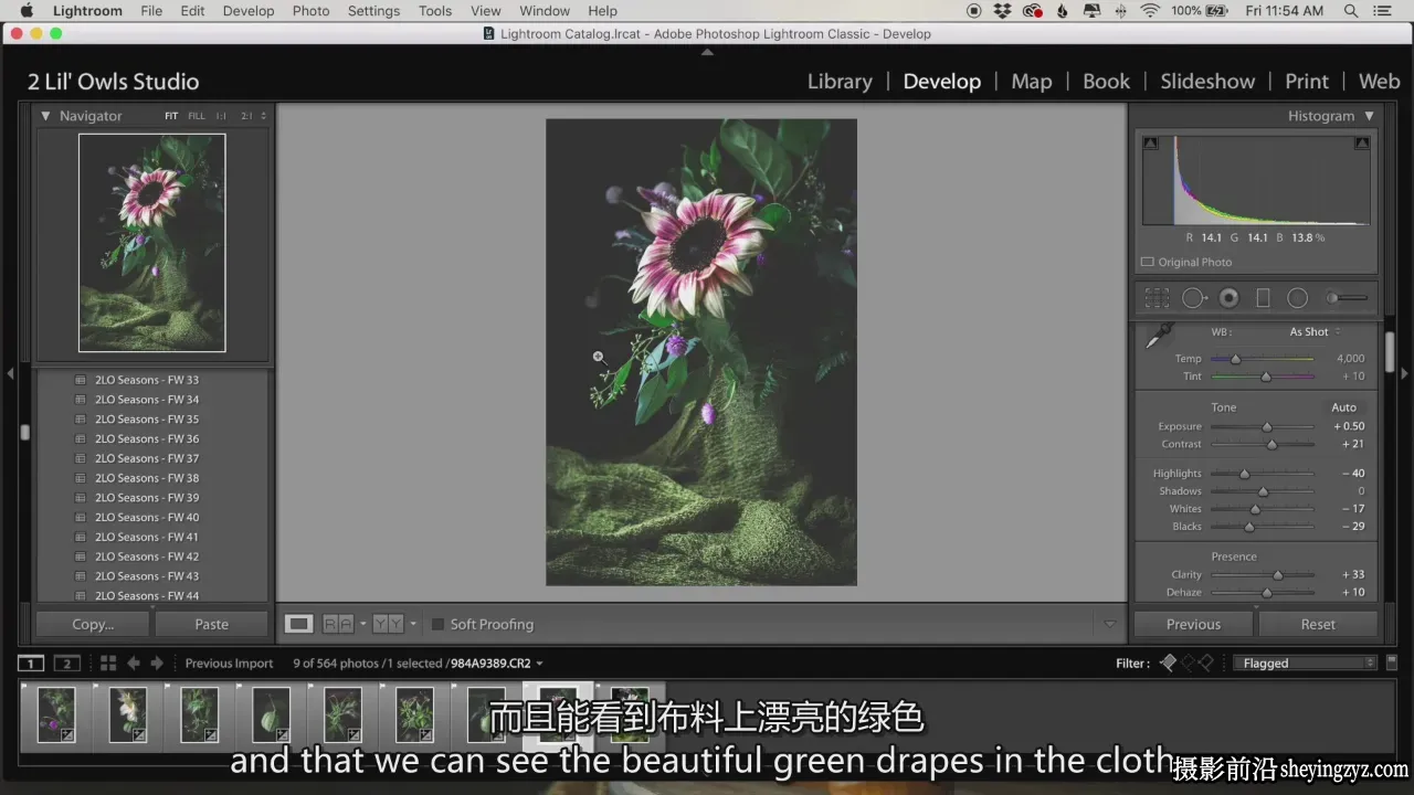 Lenslab静物摄影教程-破解静物摄影的色彩密码教程-独家精翻中英字幕