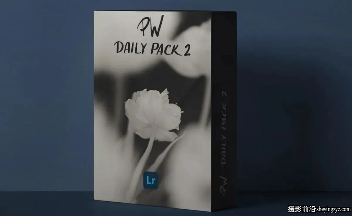 复古电影胶片美学预设 Polina Washington-PW DAILY PACK 2 Presets