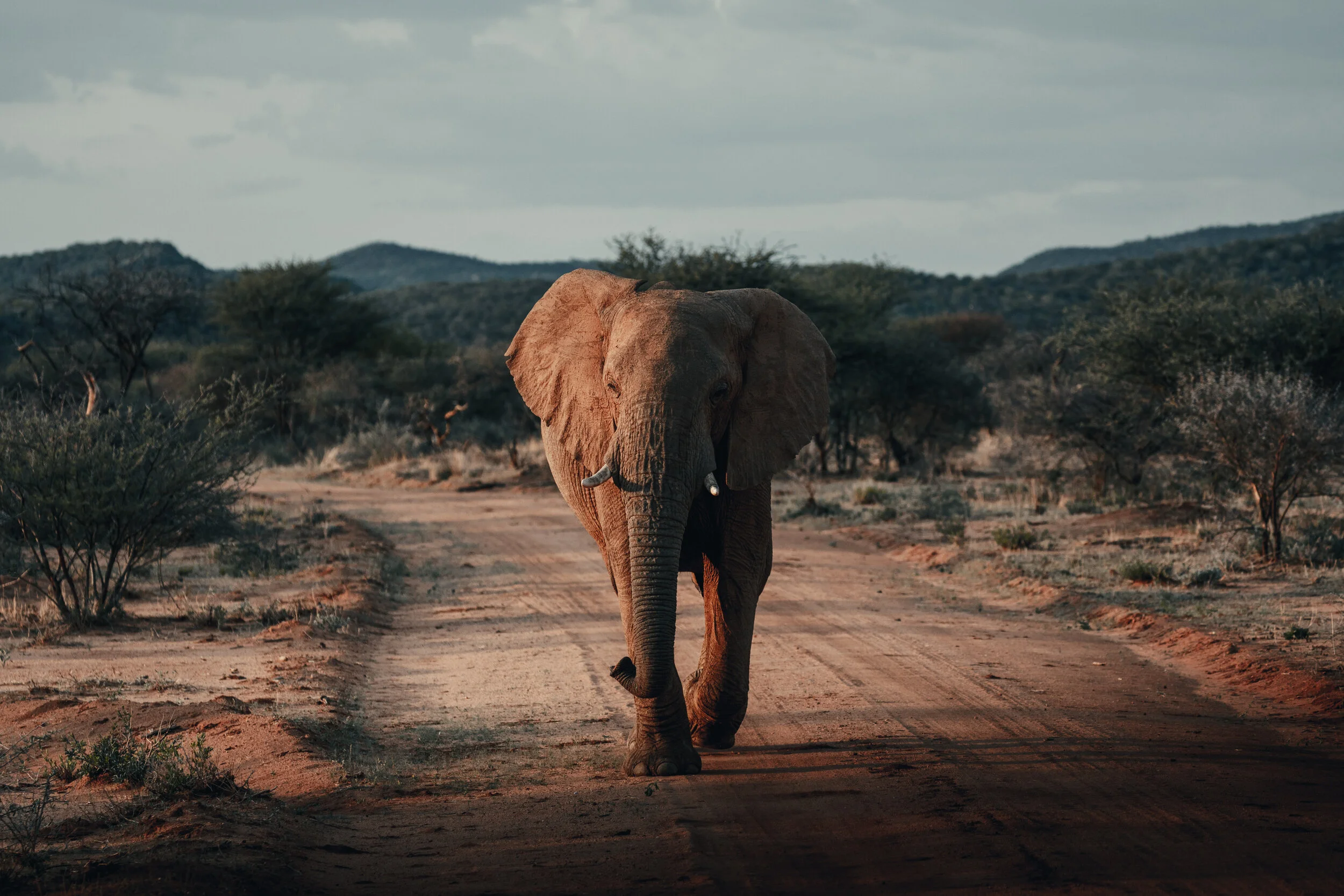 摄影师Michiel Pieters户外旅拍风光LR预设Michiel Pieters Preset
