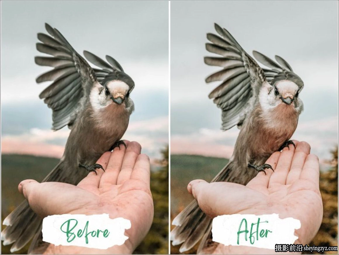 电影人像调色Lightroom预设/手机滤镜 Cinema Lightroom Presets