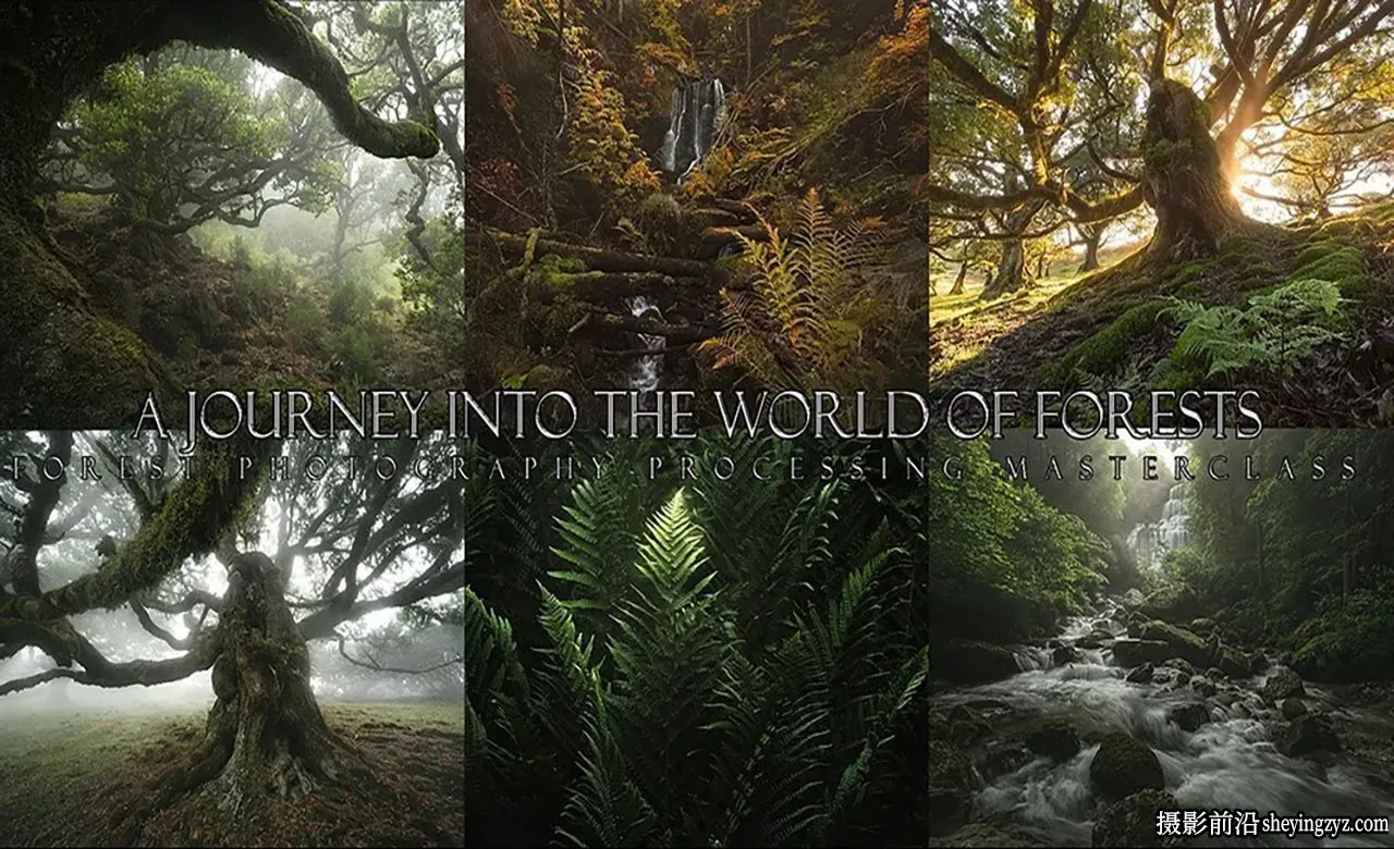 Enrico Fossati 《世界森林之旅》完整风光后期教程-独家精翻中英字幕