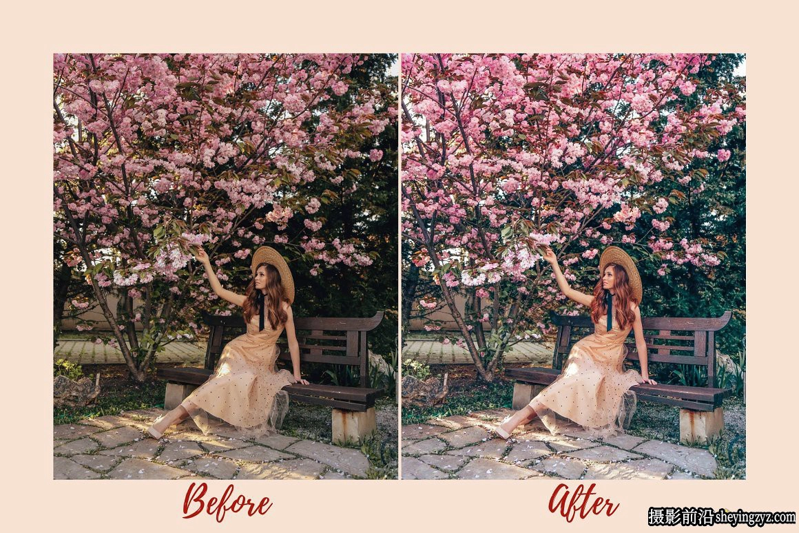 明亮通透樱花粉彩人像调色Lightroom预设SAKURA Lightroom Presets