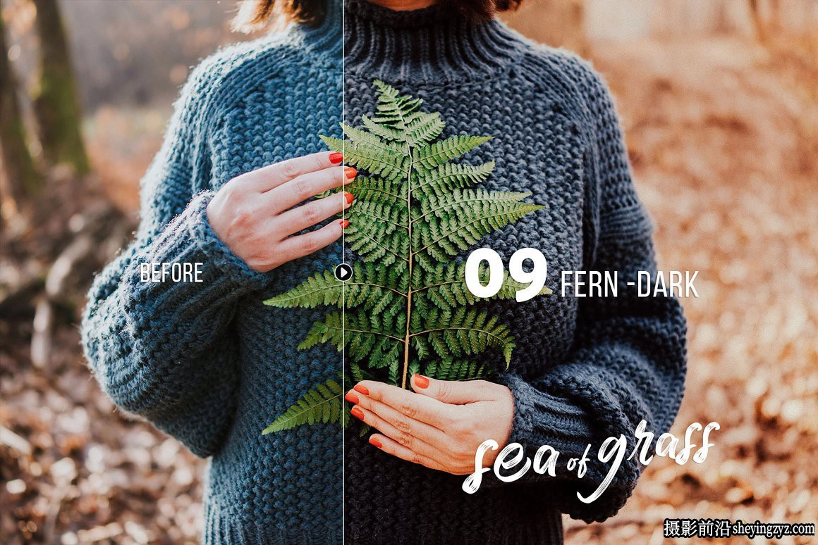 清新森系人像调色Lightroom预设 Sea of Grass Portrait Presets