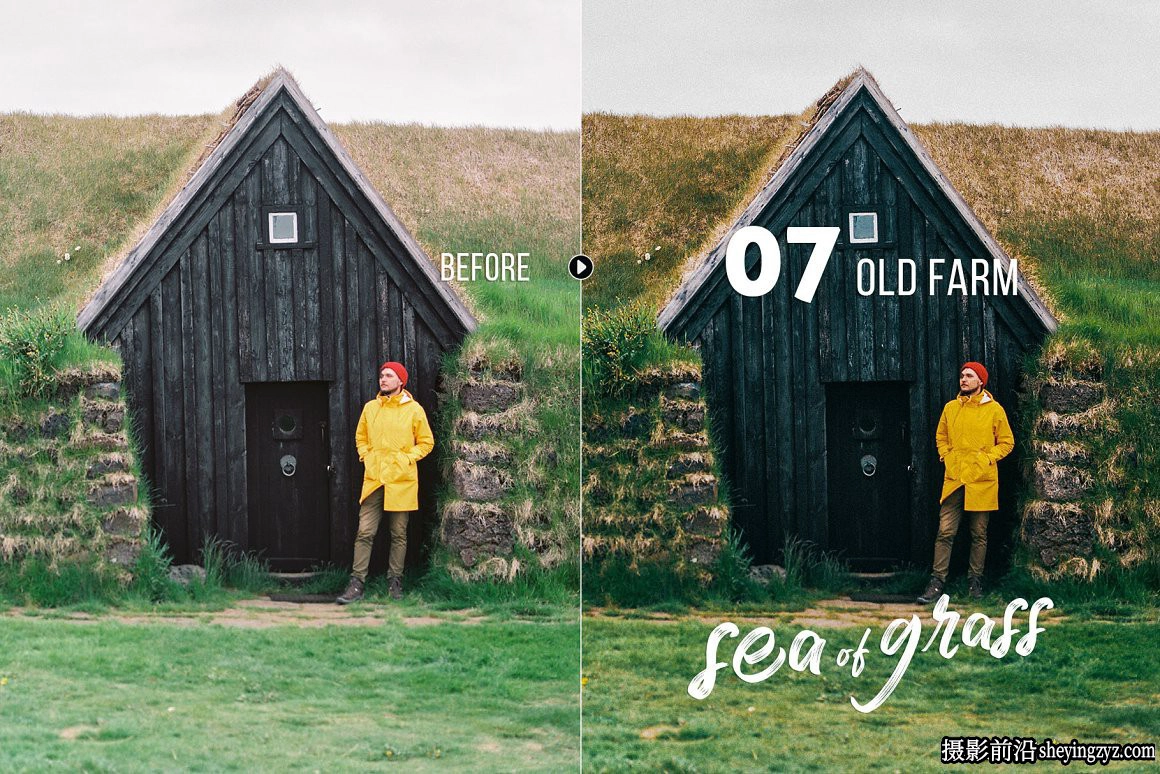 清新森系人像调色Lightroom预设 Sea of Grass Portrait Presets