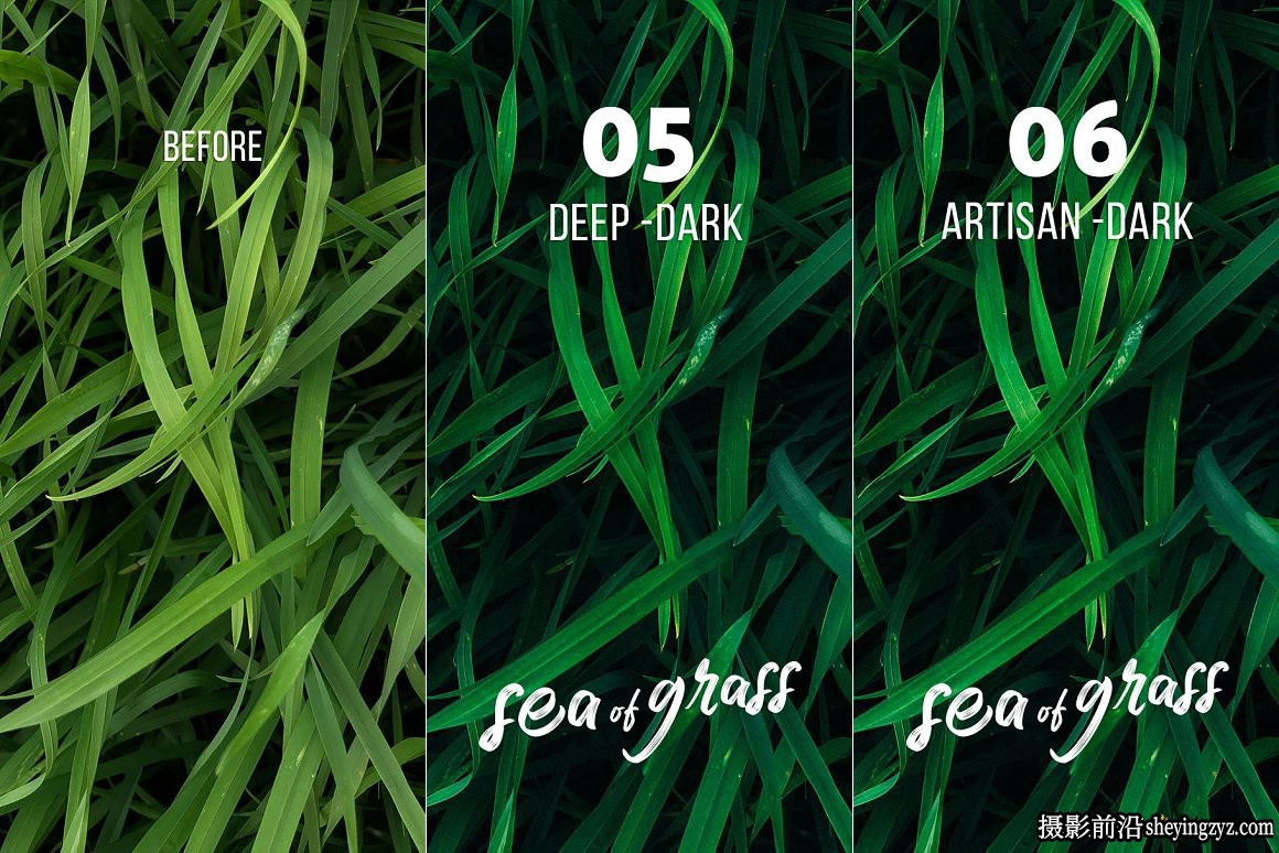 清新森系人像调色Lightroom预设 Sea of Grass Portrait Presets