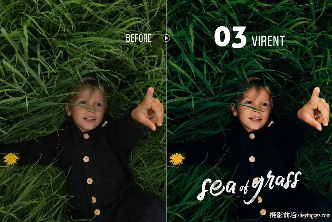 清新森系人像调色Lightroom预设 Sea of Grass Portrait Presets