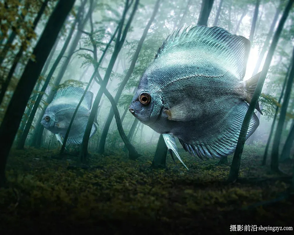 视觉效果Photoshop拼贴合成艺术效果教程合集-独家精翻中英字幕