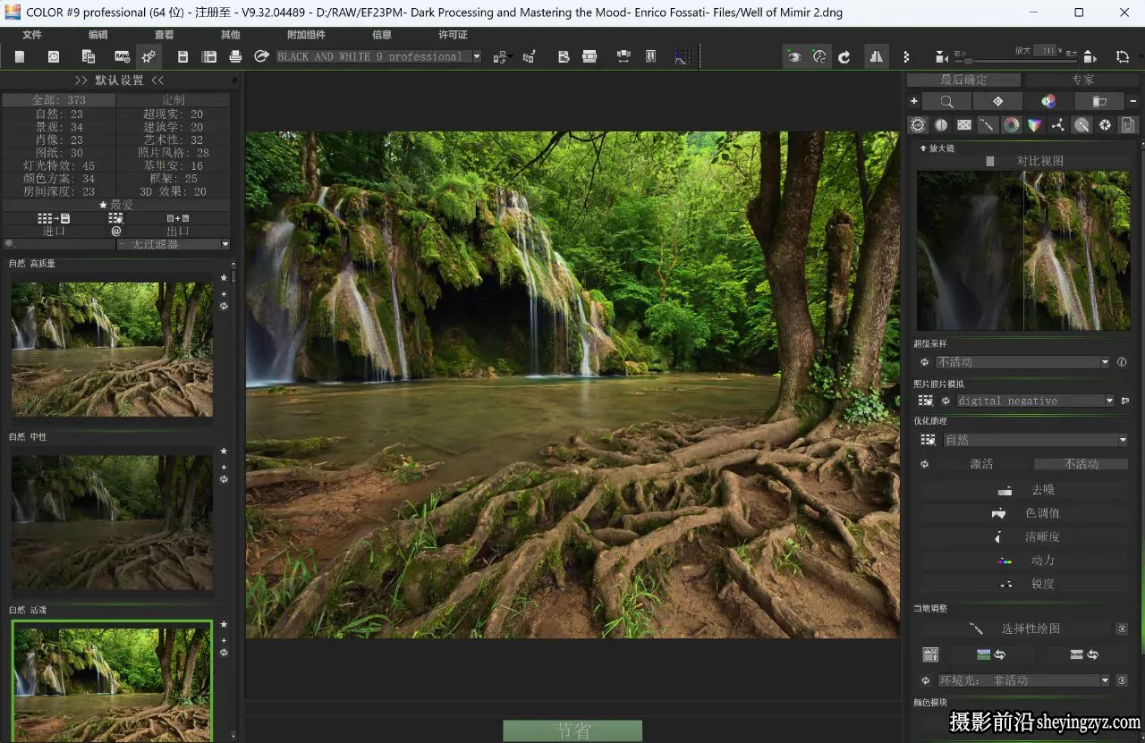 专业调色PS插件 Franzis COLOR projects professional 9.32 WIN中文版